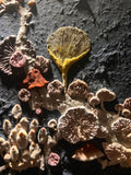 3小時傳統岩彩藝術大師體驗班 3hrs Mineral Painting Master Workshop [Taster]