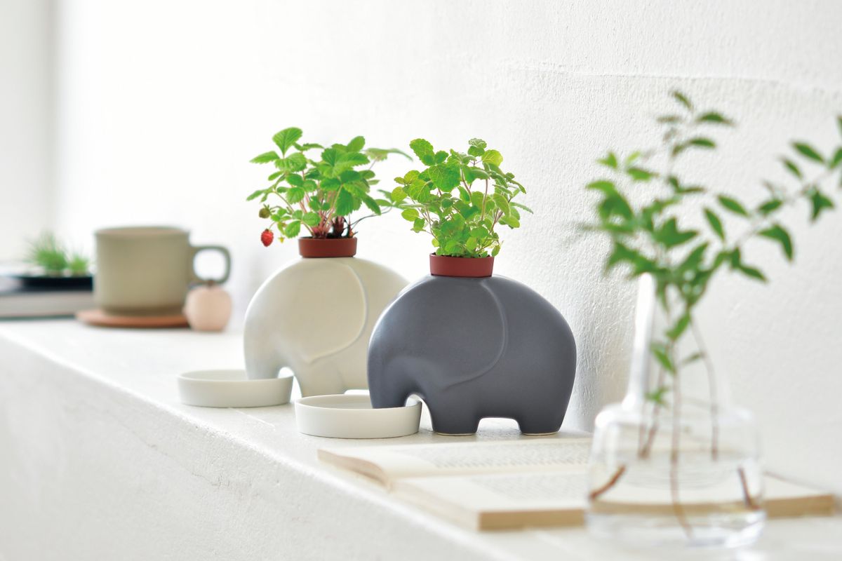**🌸🐘✨ *春季限定工作坊：為大象花盆畫上小蜜蜂！* ✨🐝🌸**