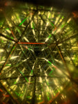 [Galaxy] Kaleidoscope Workshop