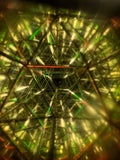 [Galaxy] Kaleidoscope Workshop