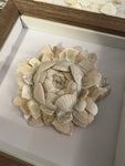 Local seashells mosaic workshop